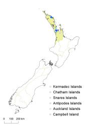 Asplenium aethiopicum distribution map based on databased records at AK, CHR, OTA & WELT.
 Image: K. Boardman © Landcare Research 2017 CC BY 3.0 NZ
